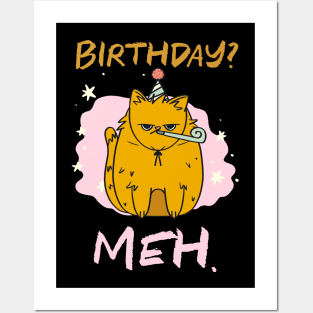 Birthday Meh Cat Posters and Art